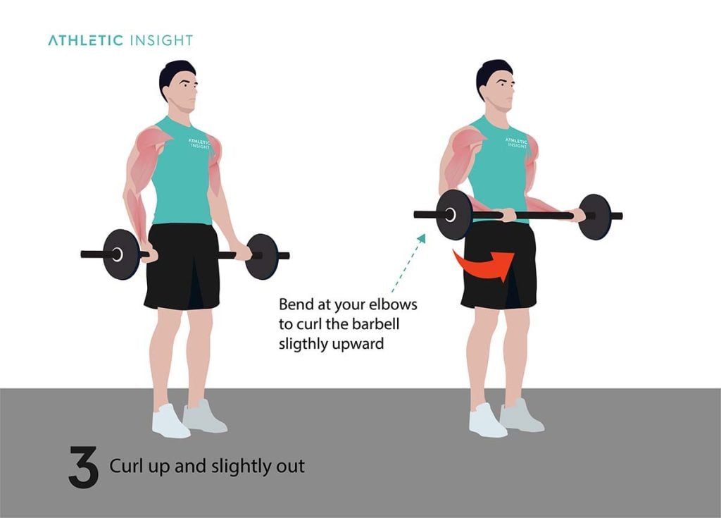 How to Do Barbell Curl Variations, Proper Form, Techniques, Barbell