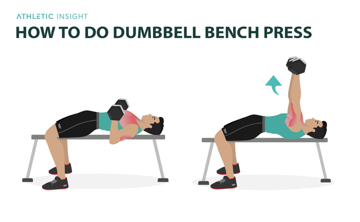 DumbBell Bench Press 