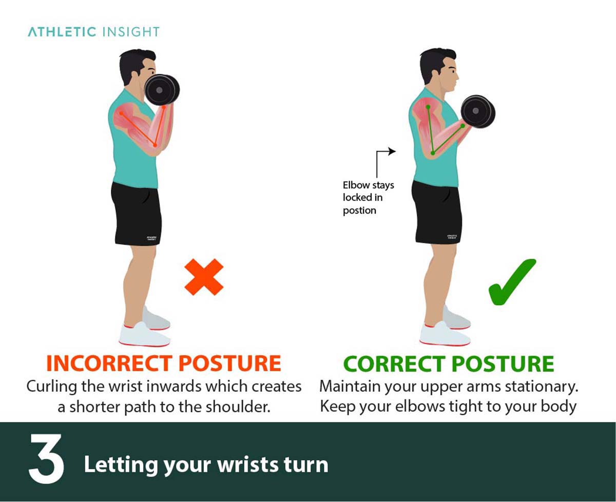 Dumbbell Hammer Curls Form