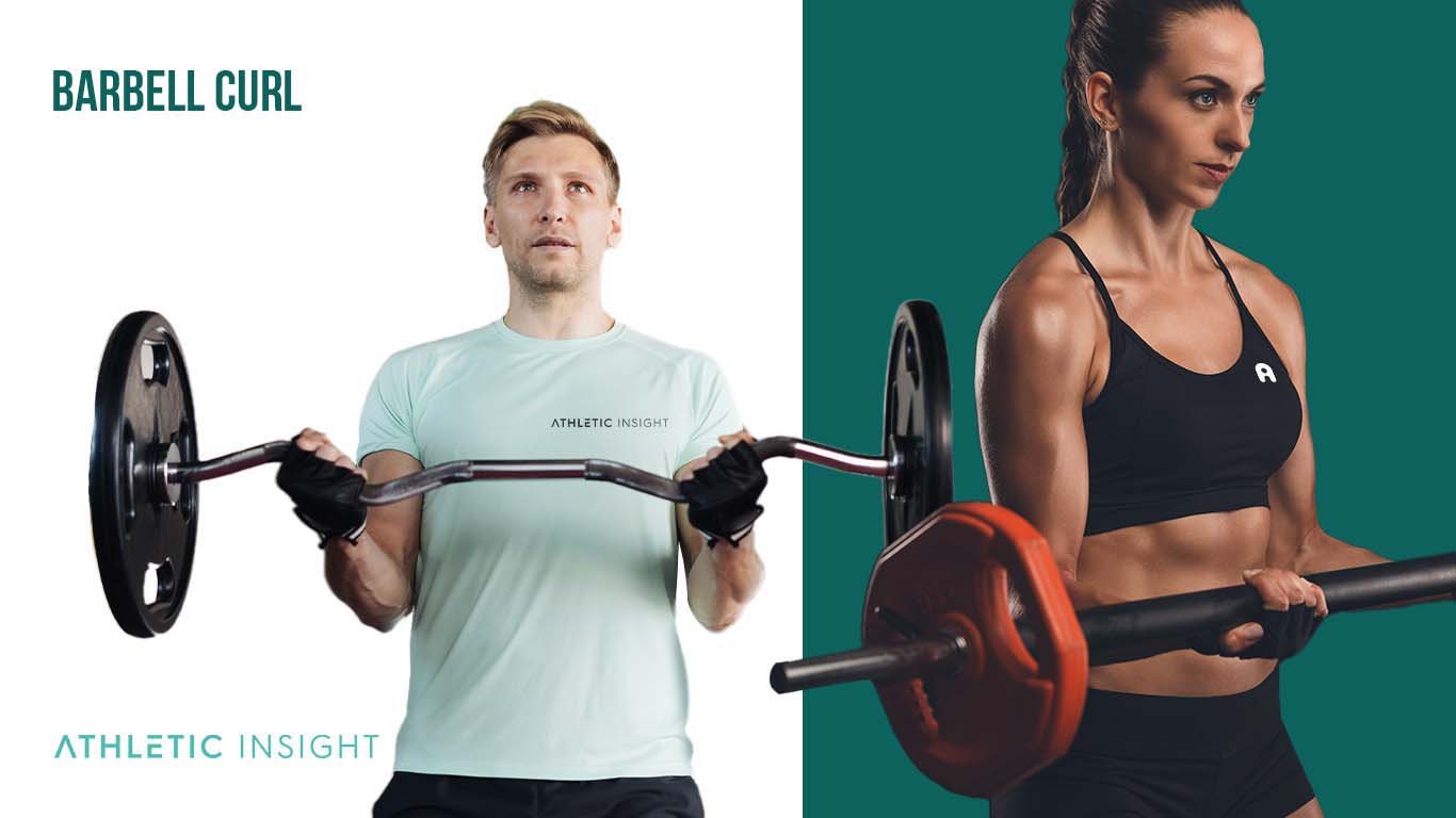 Best Biceps Workout Exercises Barbell Curl
