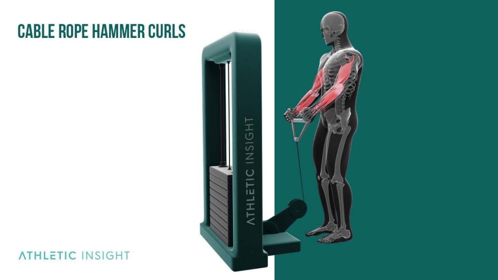Hammer Curl Variations for Bigger Arms Athletic Insight