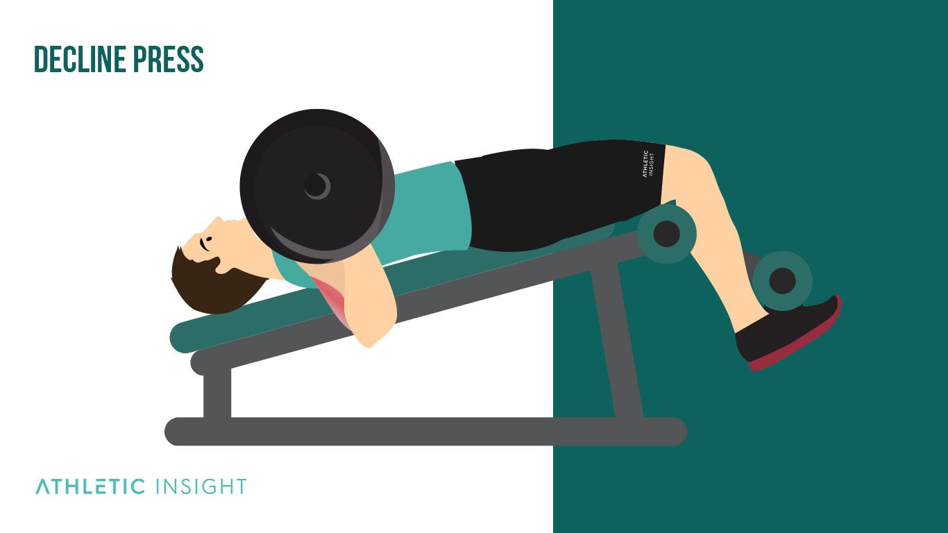 Best Chest Workout Exercises Decline Press