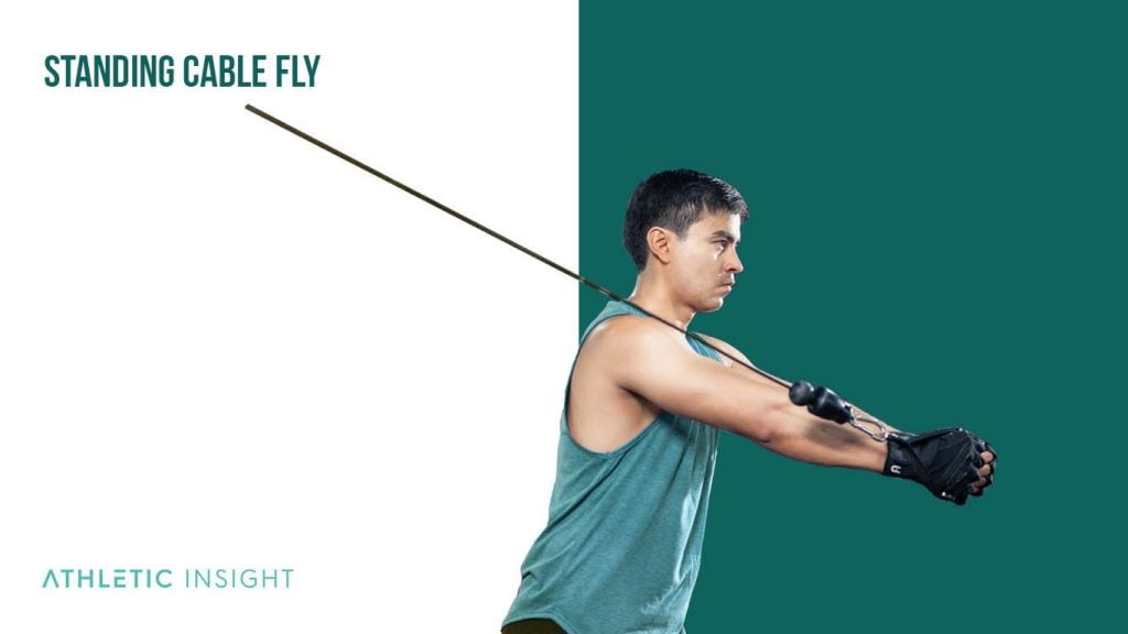 Chest Fly Variations for Chest Muscles Athletic Insight