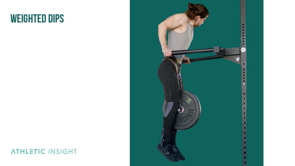 Dips Exercise Variations for Chest Strength Athletic Insight
