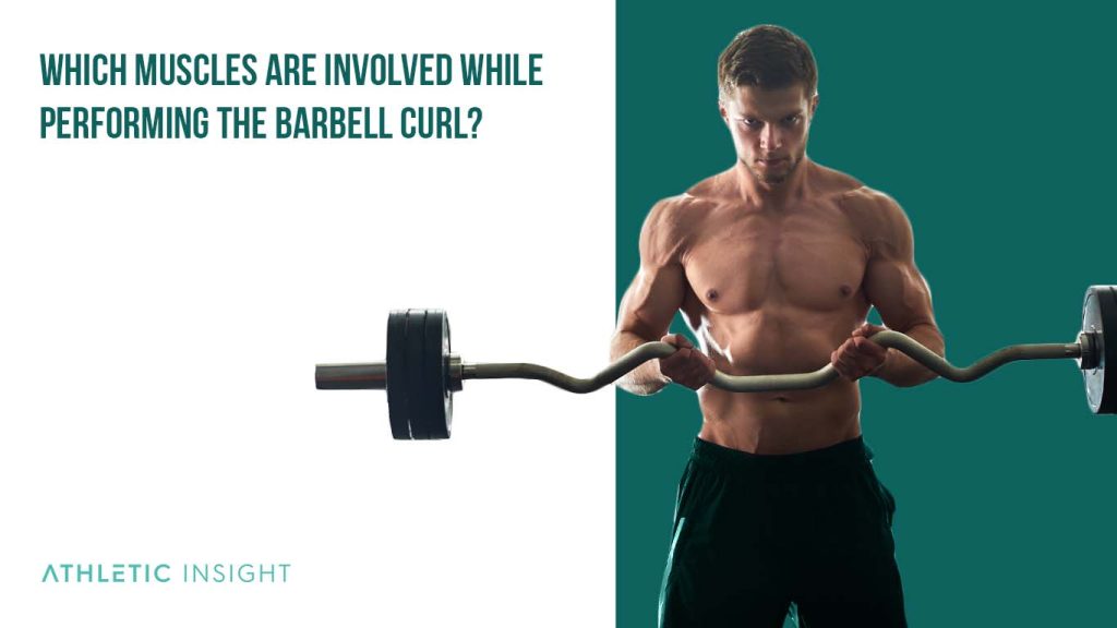 How to Do Barbell Curl Variations, Proper Form, Techniques, Barbell