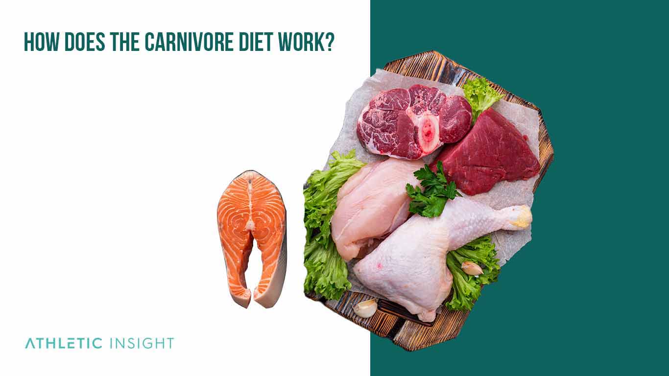 How Does the Carnivore Diet Work