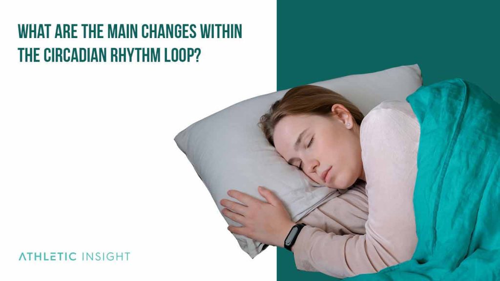 Circadian Rhythm Definition, Physical, Mental, and Behavioral Features