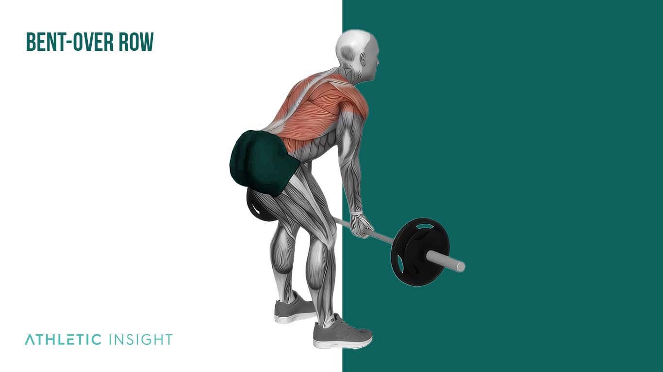 Bent over Row