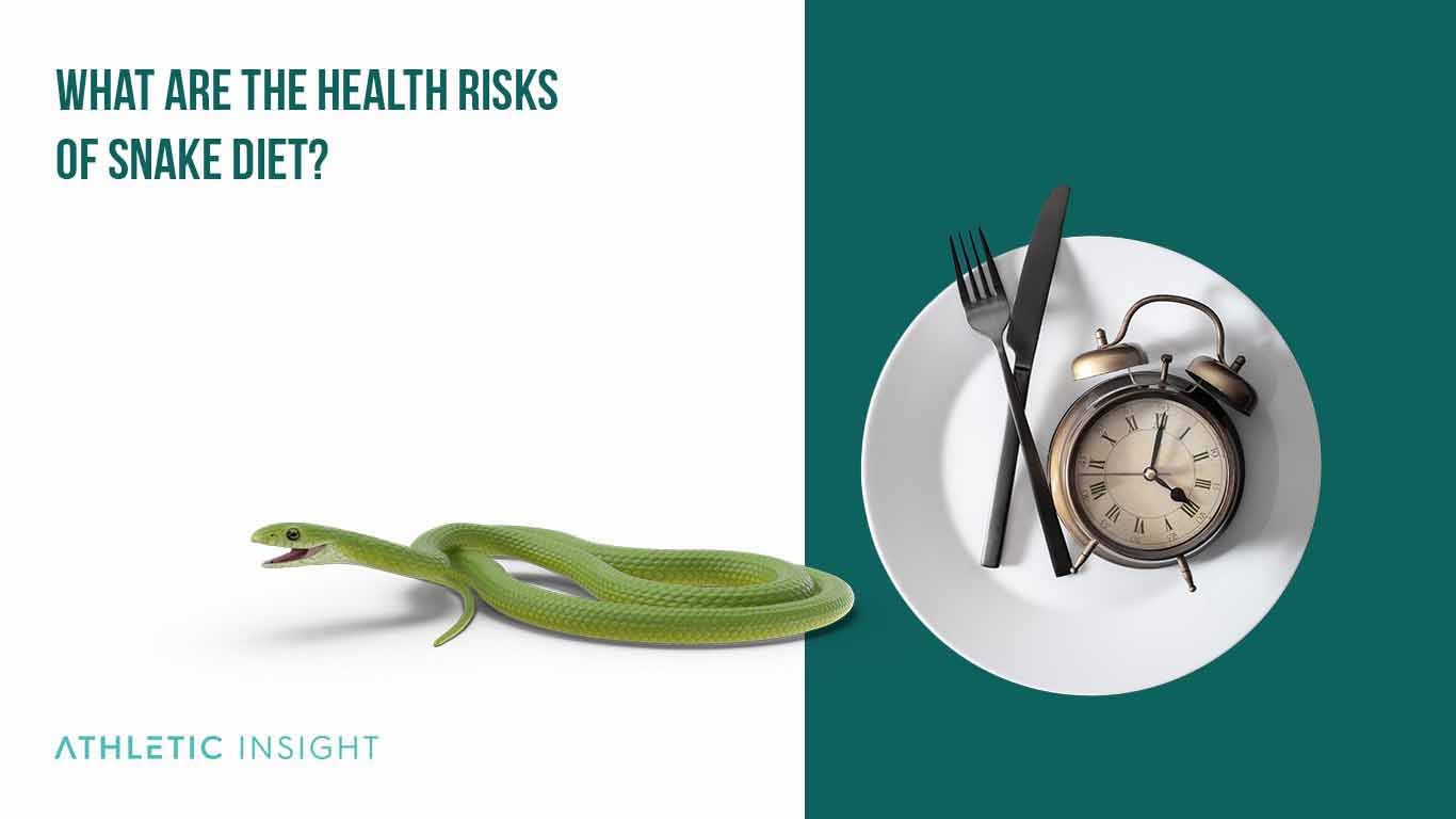 Snake Diet: A Beginner's Guide and Meal Plan What are the health risks of Snake Diet