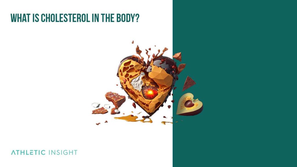 Cholesterol Definition, Benefits, and Risks Athletic Insight