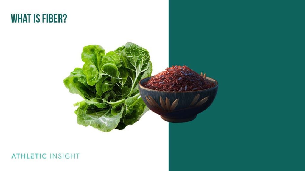 Fiber Definition, Functions, Importance, and Diet Athletic Insight