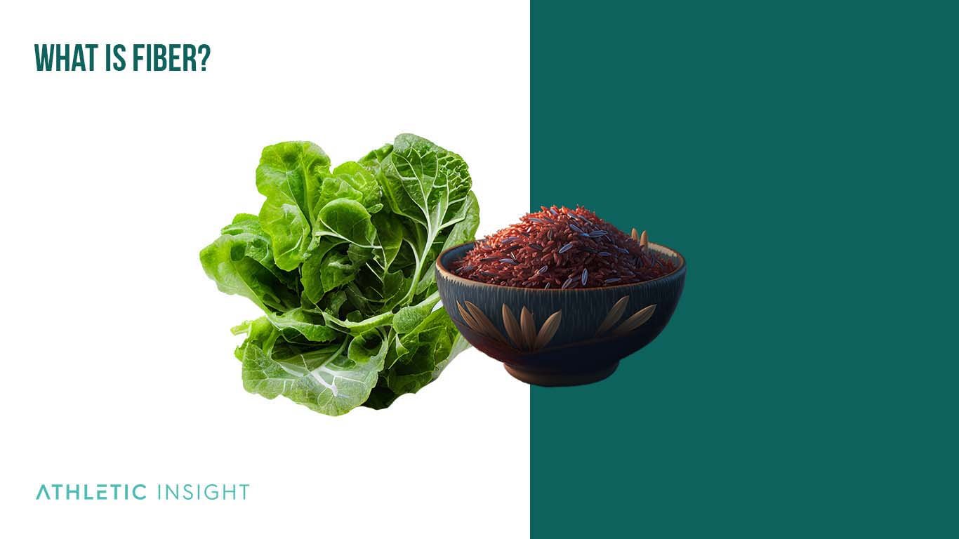 Fiber: Definition, Functions, Importance, and Diet What Is Fiber