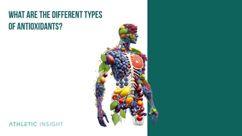 What Is an Antioxidant? What Do Antioxidants Do to Your Body