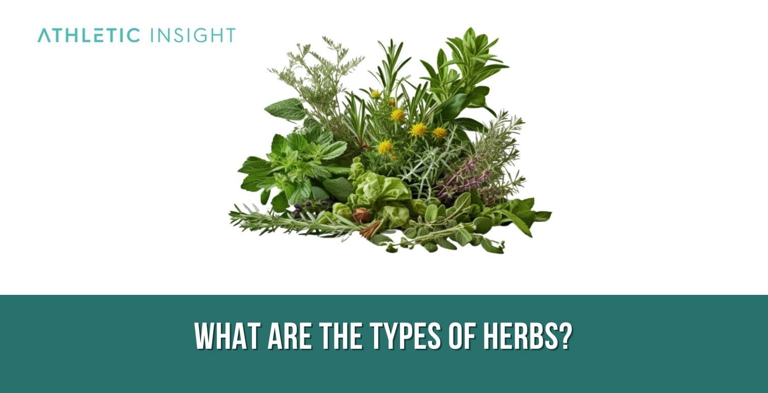 What-are-the-Types-of-Herbs What are the Types of Herbs
