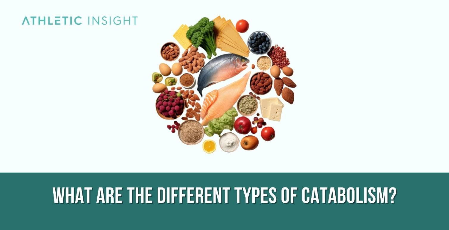 What are the different types of Catabolism