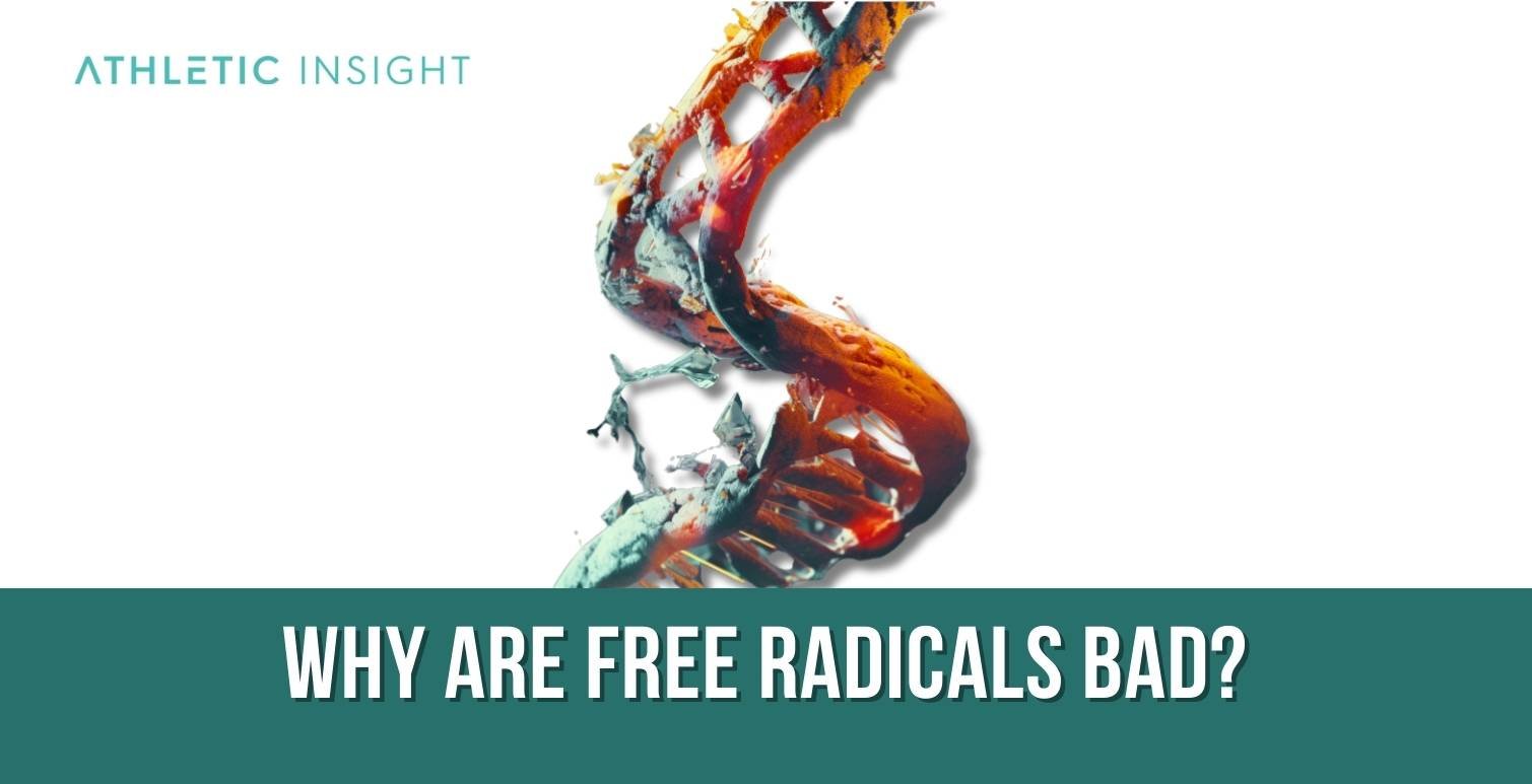 Why Are Free Radicals Bad