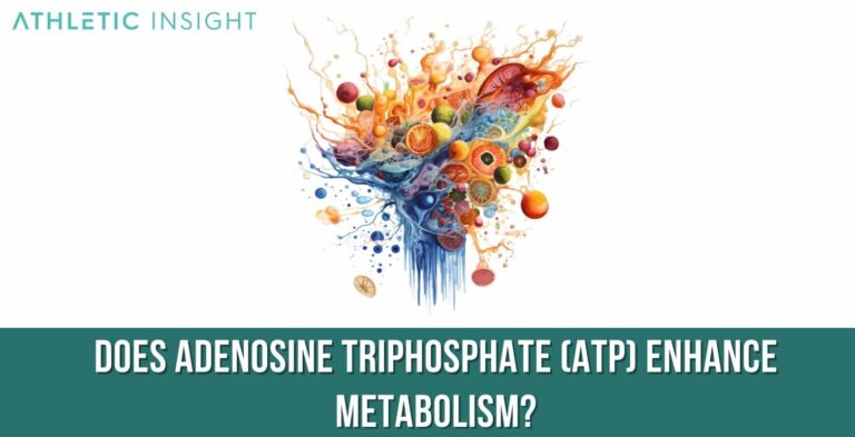 Adenosine Triphosphate (ATP): Definition, How it Works, and Importance ...