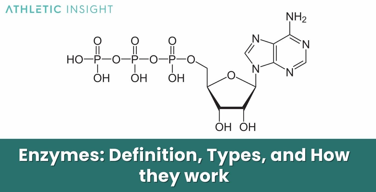 Enzymes