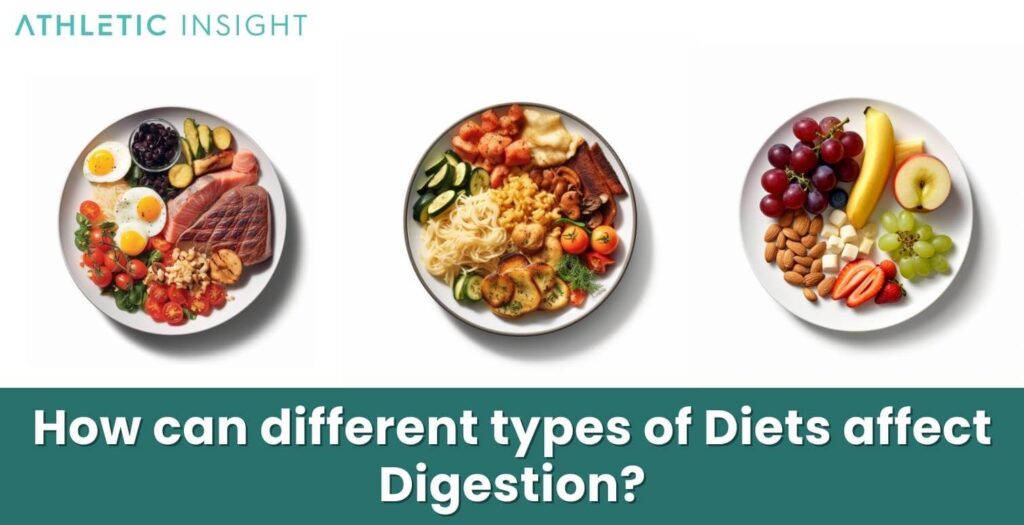 Digestion What is it, Parts, Process, and Benefits Athletic Insight