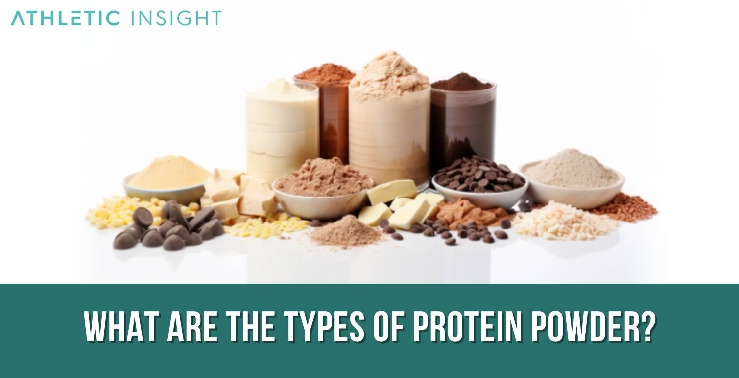 What-are-the-types-of-Protein-Powder What are the types of Protein Powder