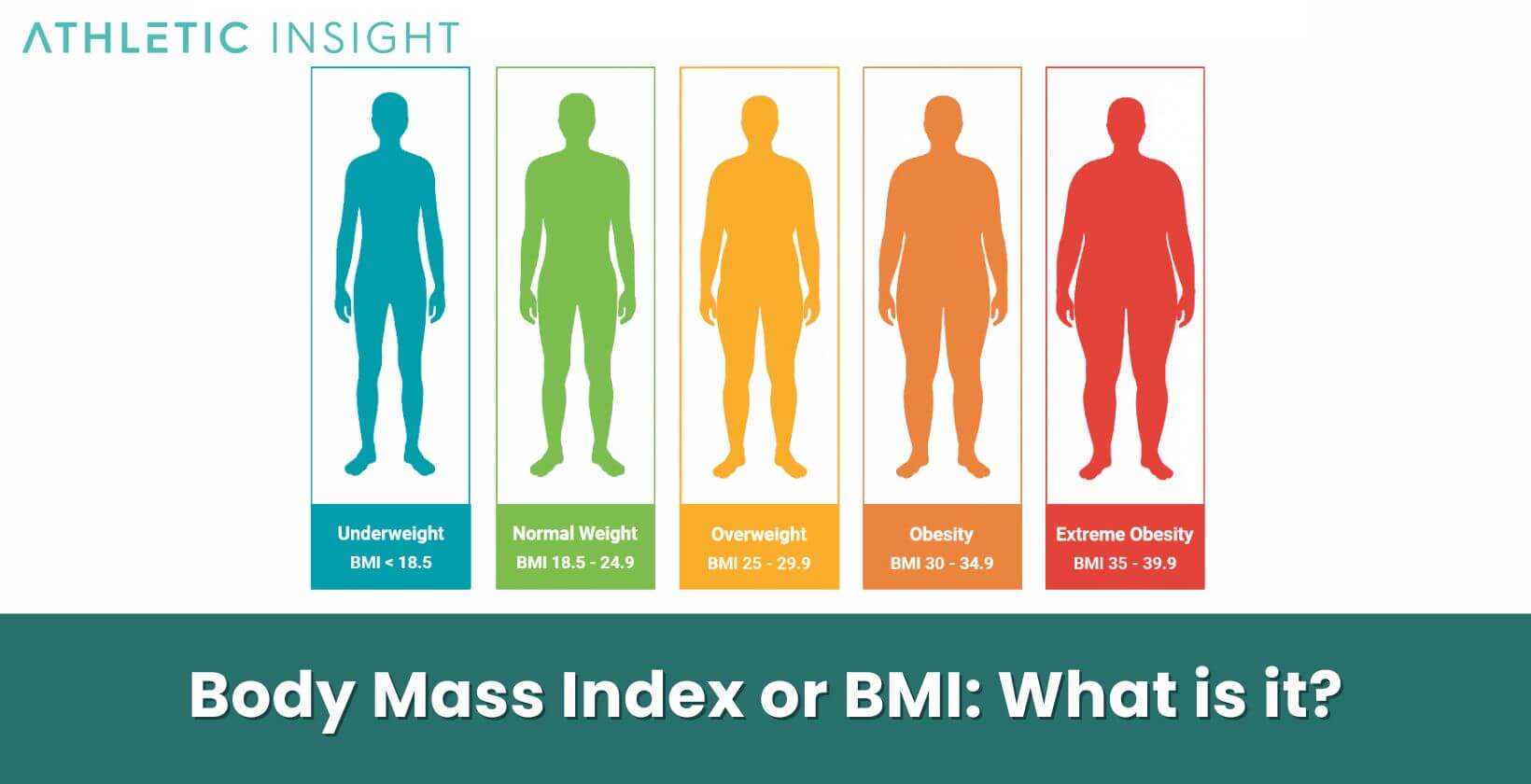 Body Mass Index or BMI What is it