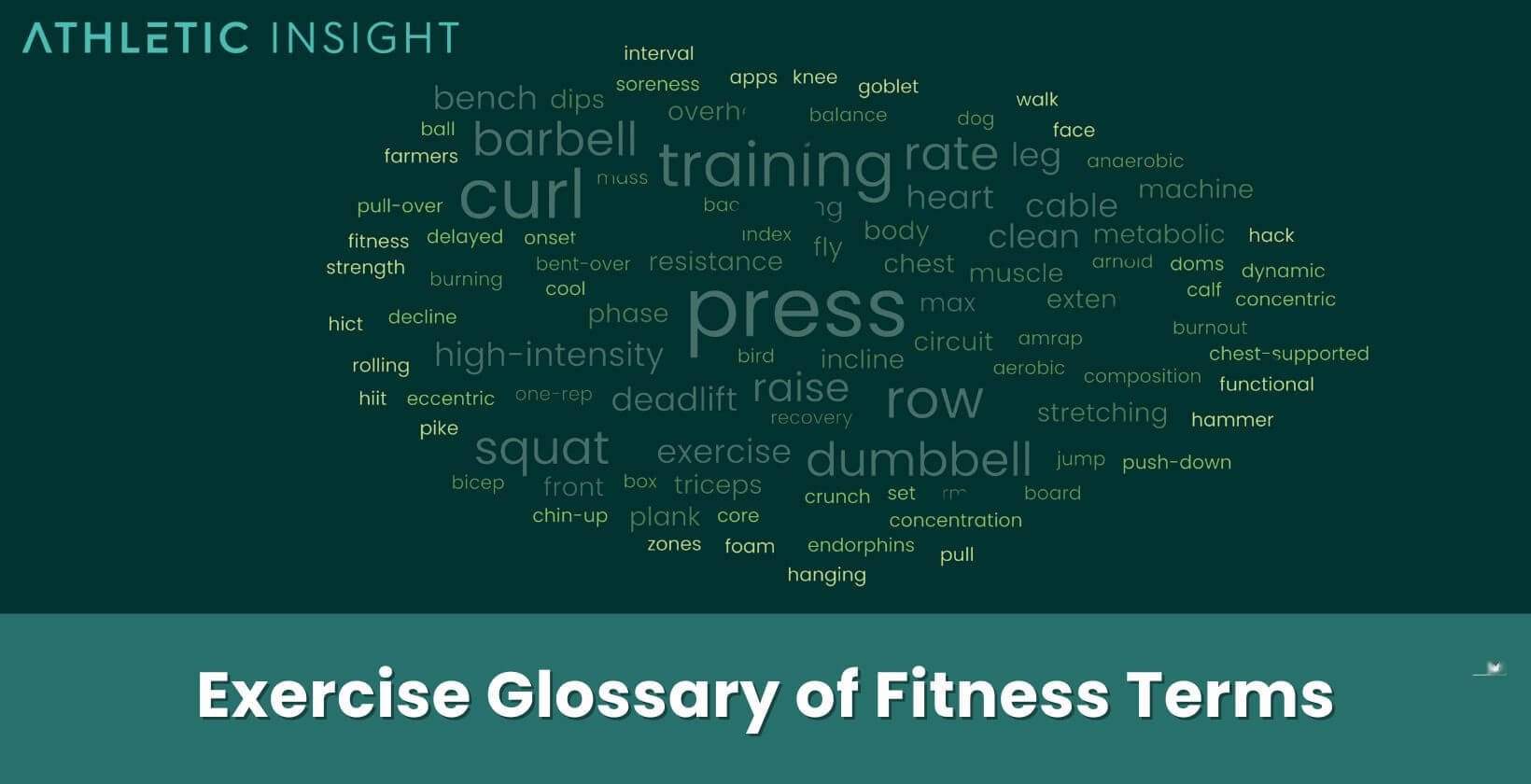 Exercise Glossary of Fitness Terms