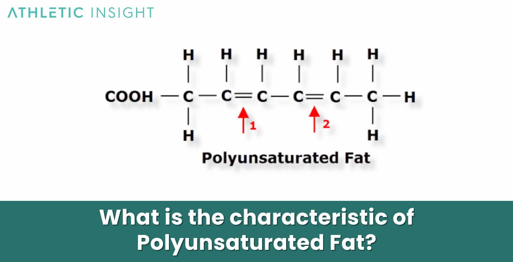 What is the characteristic of Polyunsaturated Fat