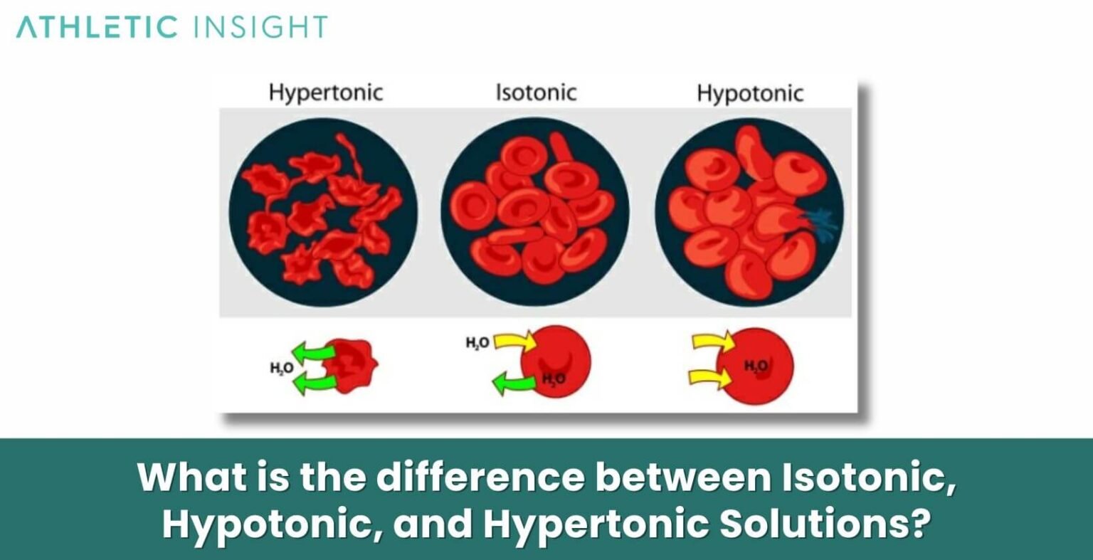 Isotonic Solution Definition, How it Works, Examples, and Benefits