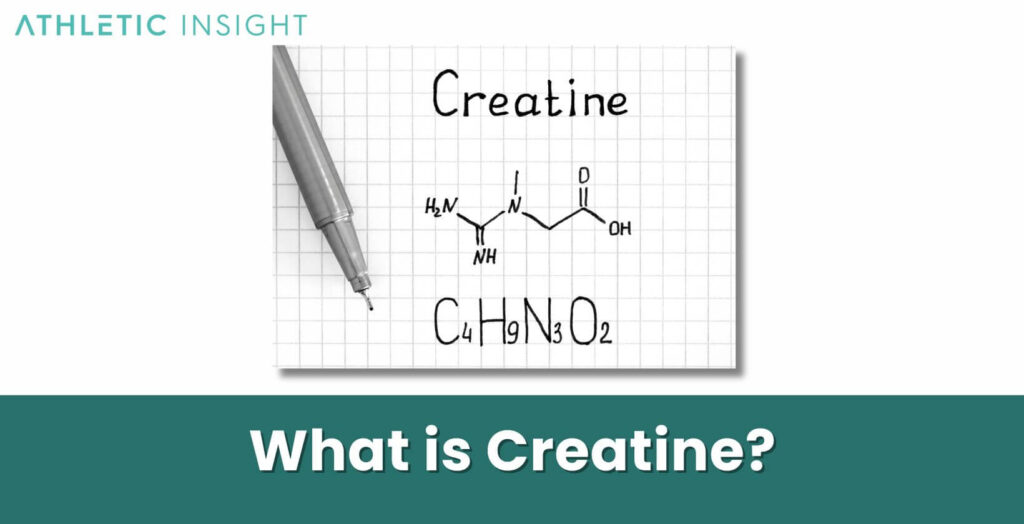 Creatine What is it, Importance, Purpose, Uses, and Benefits