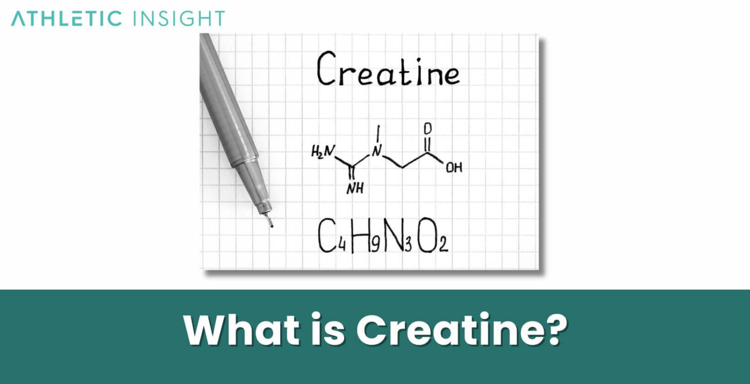 Creatine What is it, Importance, Purpose, Uses, and Benefits Athletic Insight
