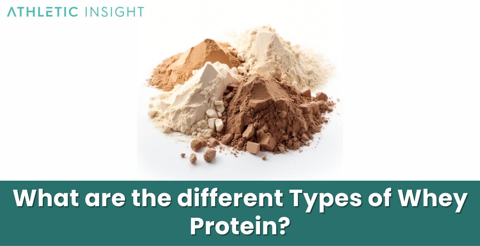 What-are-the-different-Types-of-Whey-Protein What are the different Types of Whey Protein