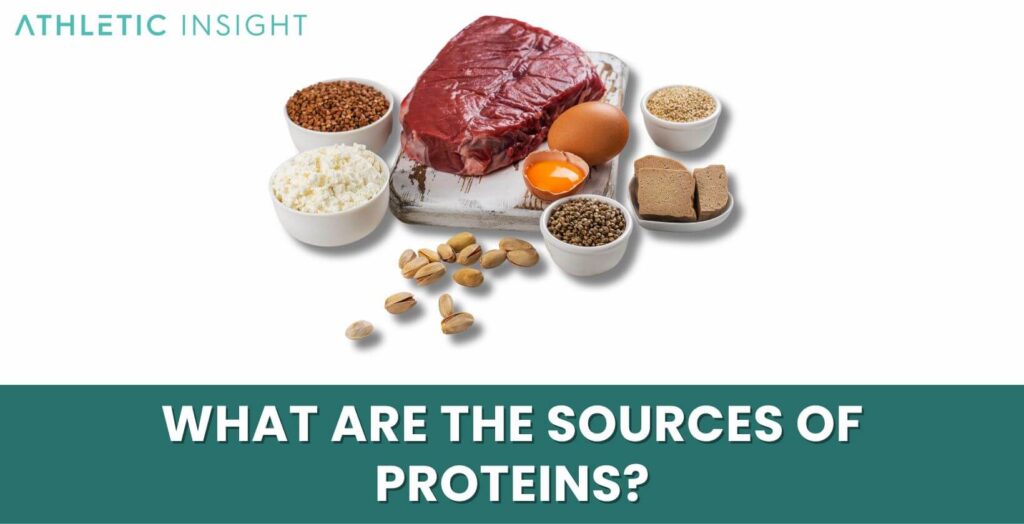 Proteins Definition, Importance, How it Works, Benefits, and Risks