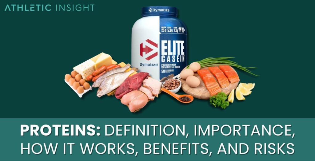 Proteins Definition, Importance, How it Works, Benefits, and Risks