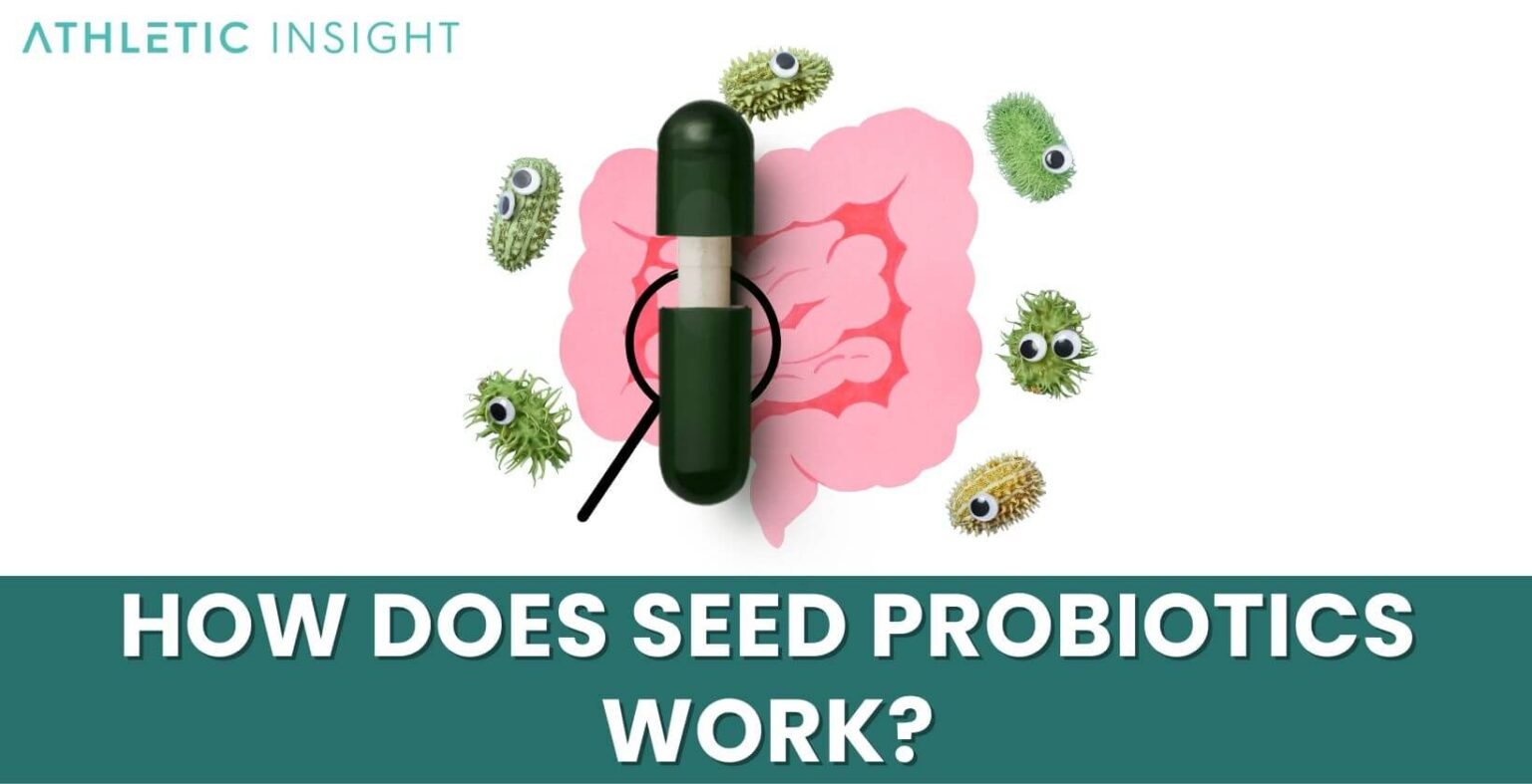 Seed Probiotics Review for [currentyear]: Doctor and Dietitian Tested